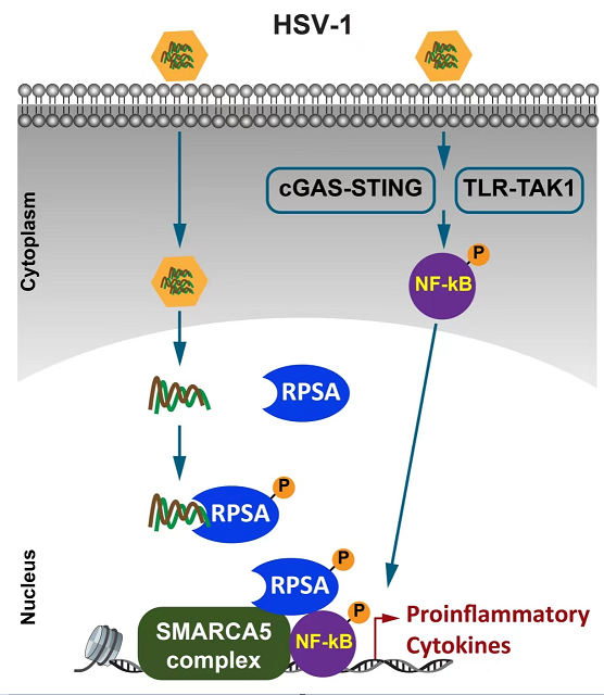 a2f3f6ed95274f028e6ad685dc60a07d.png a2f3f6ed95274f028e6ad685dc60a07d.png