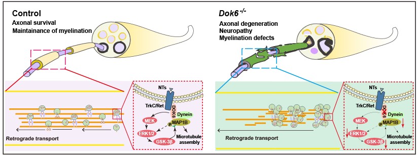 17290c5750634570bd6cc067b661f3b5.jpg 17290c5750634570bd6cc067b661f3b5.jpg