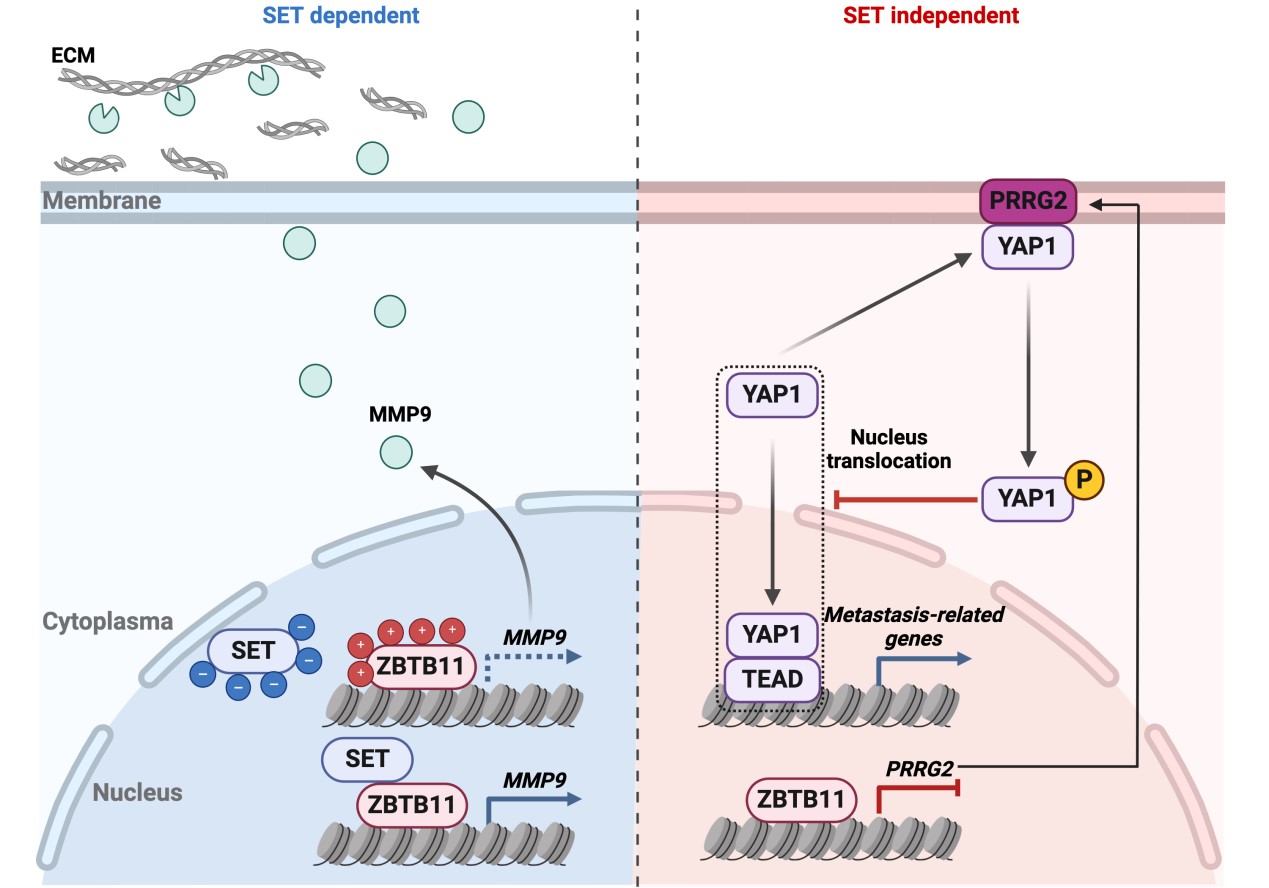 54ccf95df7744a6aa95bfbe644c39be6.jpg 54ccf95df7744a6aa95bfbe644c39be6.jpg